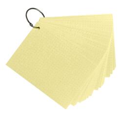 Paquet de 50 Flashcards sous film + anneau - bristol dots perforé - Format A6
