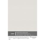 PastelGrain paquet 5F 50x70cm 360g - Gris clair