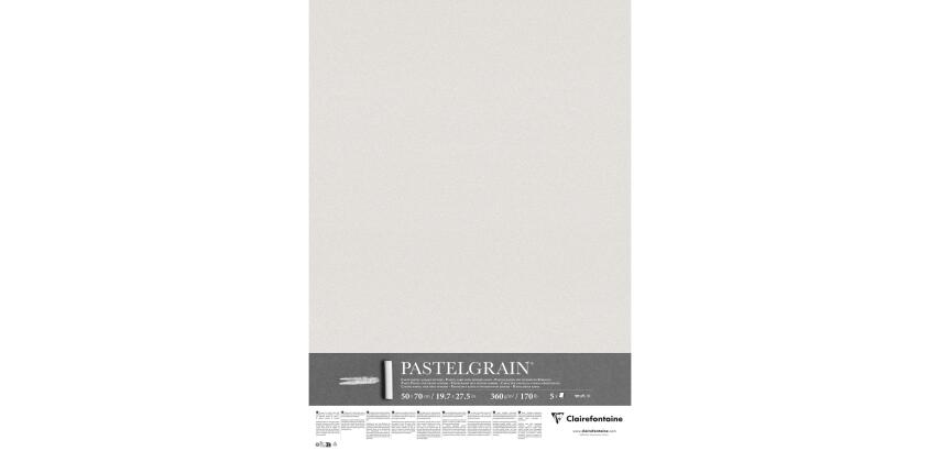 PastelGrain paquet 5F 50x70cm 360g - Gris clair