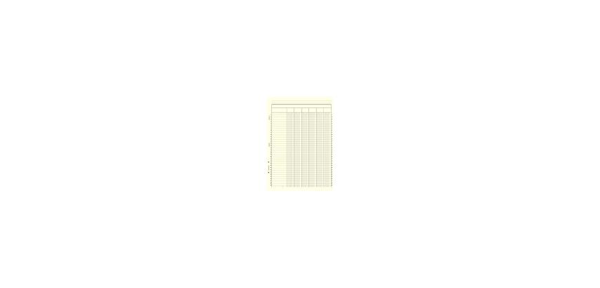 Dauphinbloc 297X210 6 columns 50 sheets - Oat