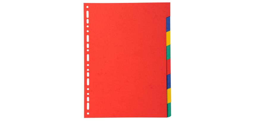 Dividers 8 Pt Recycled Card brights - Bright colours assorted
