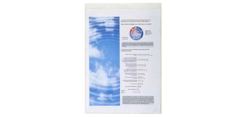 Sachet de 10 étuis de protection simples PVC lisse 20/100e - A4 - Cristal