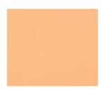 Zeichenpapier Tulipe 50x65 cm 160g, Packung mit 25 Blatt
