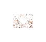 COLLECTION EUCALYPTUS, Paquet de 20 enveloppes imprimées Pollen 114x162mm 120g/m2 - Rose 3 - Rose