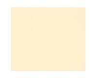 Tulipe rame 50F 50x65cm 160g - Ivoire