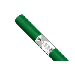 PAPIER DE SOIE, Rouleau de 24 feuilles 18g/m2 au format 50x75cm - Vert pré