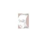 Paquet de 5 cartes pliées Grain de Pollen 105x148mm 210g/m² - Amphore