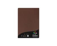Etui de 50 feuilles Pollen 210x297mm 120g/m2