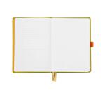 Rhodiarama Goalbook rembordé rigide A5 240 pages dot papier blanc 90g - Anis
