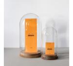 Bloc agrafé Rhodia N°8 7,4x21 cm 80 feuillets ligné 80g - Orange