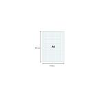 Pk 100 Exa Record Cards 210x297 5/5 Ast - Assorted colours