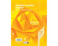 Feuillets mobiles sous film 7000 17x22 cm 100 pages perforées 2 trous grands carreaux 80 g