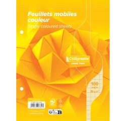 Clairefontaine Loose-Leaf Sheets, Ligne 7000, Seyes, 17x22cm 80g
