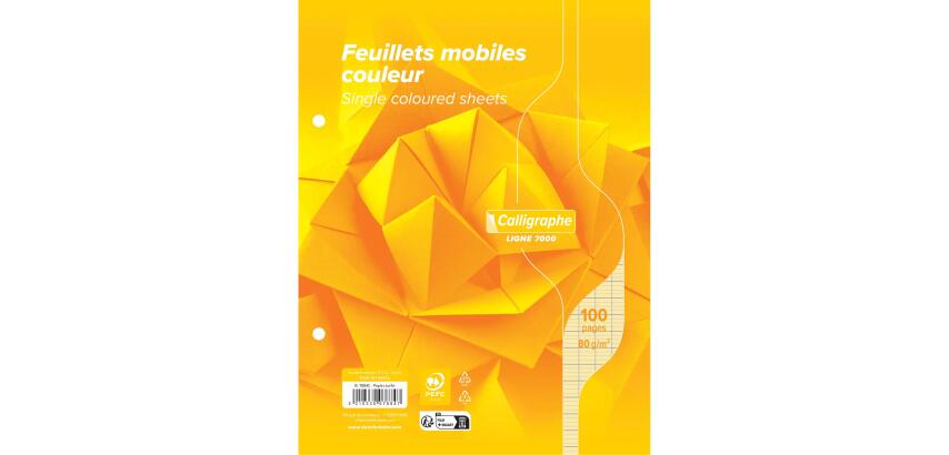 Clairefontaine Loose-Leaf Sheets, Ligne 7000, Seyes, 17x22cm 80g