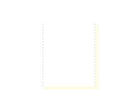 "1000 feuilles de listing autocopiantes blanc/jaune 240x11"" 2plis Bandes Caroll Détachables" - Blanc