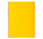 Pack of 10 expanding spine folders ROCK'S 320gsm - 24x32cm.