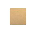 Etival Color paquet 25F A3 160g - Maïs