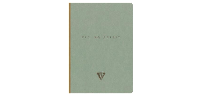 Flying Spirit genaaid notitieboekje A5 192 pagina's gelinieerd assorti motieven ivoorkleurig papier 90g - Vergrijsd groen