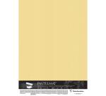 Pastelmat, Papier für Pastellmalerei, 5 Bogen 70x100 cm, auf Karton gegenkaschiert 1,8mm