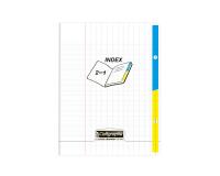 Cahier piqué 2 index 8000 POLYPRO 17x22cm 96 pages grands carreaux Incolore - Incolore