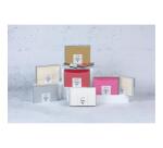 Coffret Pollen de 20 enveloppes C6 (114x162mm) + 20 cartes simples 110x155mm - Naissance - Assortiment