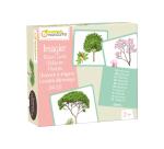 Imagier, Arbres - Multicolore