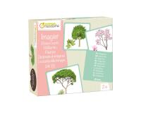 Imagier, Arbres - Multicolore