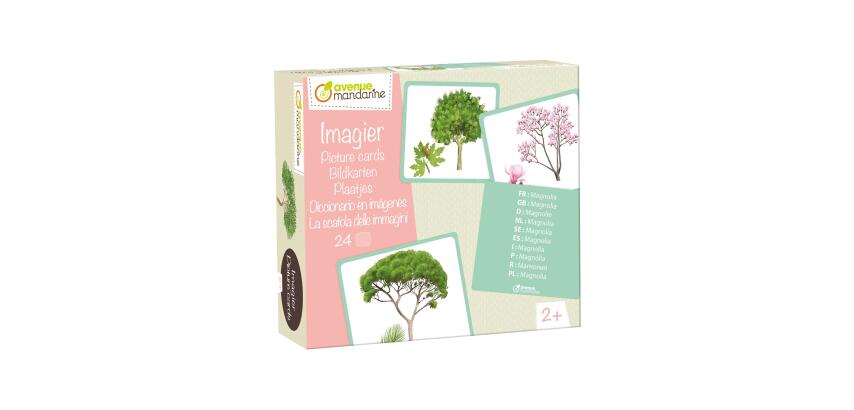 Imagier, Arbres - Multicolore