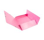 Folder 3 Flap Elastic A4 Max Cap L