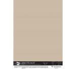 Pastelmat pak van 5 vel 100x140cm 360g - Zand