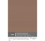 PastelGrain paquet 5F 50x70cm 360g - Brun