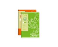 Cahier piqué FOREVER A4 96 pages grands carreaux 70 g - Assortis