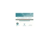 Flamboyant bloc collé 4 côtés 20F 24x32cm 300g