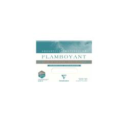 Flamboyant bloc collé 4 côtés 20F 24x32cm 300g