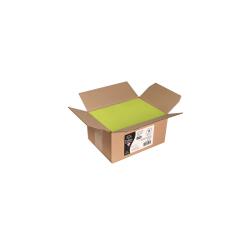 Pollen Envelopes DL 110x220, 120gsm - Leaf Bud Green