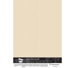 Clairefontaine Pastelmat Sheets - 70 x 100 cm - 5 Sheets - 360gsm