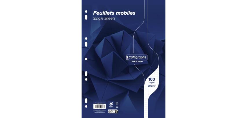 Blätter unter Folie 7000 A4 100 perforierte Seiten kleine Quadrate 80 g