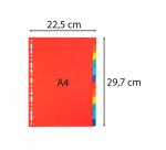 Register aus Recyclingkarton 220g, 12 Taben, DIN A4 - Farben sortiert