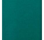 PAPIER DE SOIE, Rouleau de 24 feuilles 18g/m2 au format 50x75cm - Vert Empire