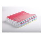 Cahier piqué 8000 POLYPRO 24x32 cm 96 pages grands carreaux 90 g - Assortis