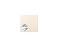 Paquet de 25 cartes simples Pollen 135x135mm 210g/m² - Ivoire irisé