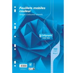 Feuillets mobiles sous film 7000 A4 100 pages perforées grands carreaux 80 g