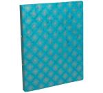 Flexible binder 2 rings 15mm gloss board Neo Deco - Assorted colors