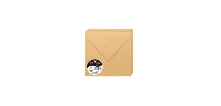 Paquet de 20 enveloppes Pollen 165x165mm 120g/m2