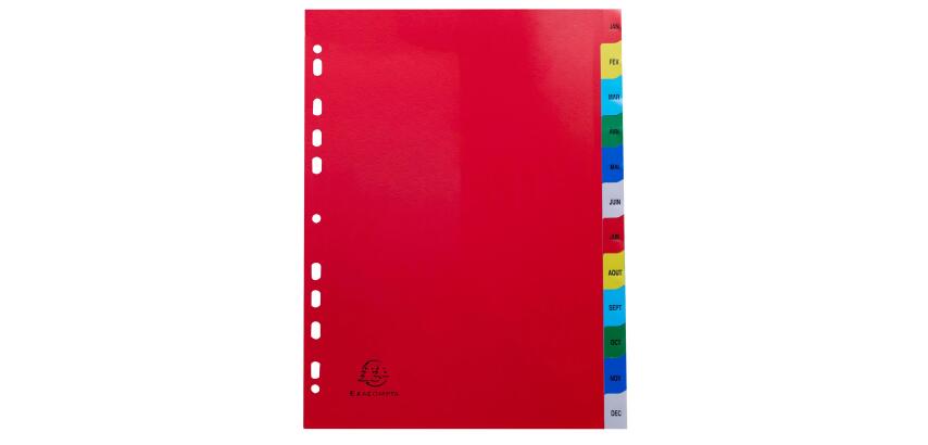 Indices 12 Pt Jan-Dec A4 PP Col Tabs - Assorted colours