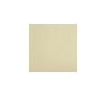 Barquette de 500 sets de table papier Tiss Lack, unis - Format 30x40 cm