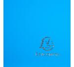 Protège-documents en polypropylène semi rigide IDERAMA PP 80 vues - A4