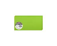 Paquet de 25 cartes pliées Pollen 106x213mm 210g/m² - Vert menthe