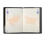 Etui protection RFID Hidentity® Passeport - Noir