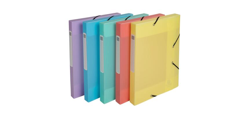 Archivbox Cartobox, Rückenbreite 25mm, Colorspan-Karton, 3 Klappen und Gummizug, 25x33cm für DIN A4, , flach geliefert, Serie Chromaline Pastell - Farben sortiert
